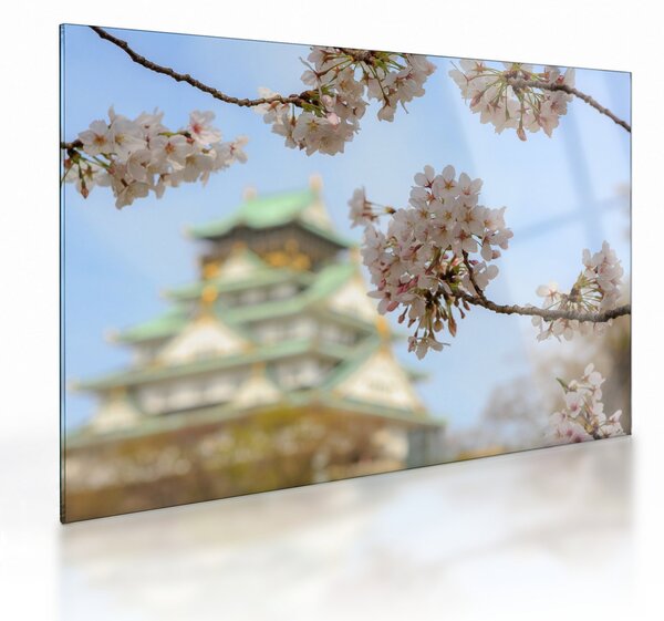 Sklenený obraz - Sakura (70x50 cm)