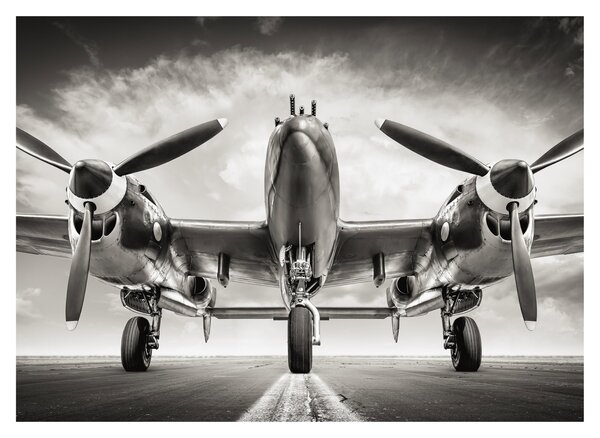 Sklenený obraz - Warbird (70x50 cm)