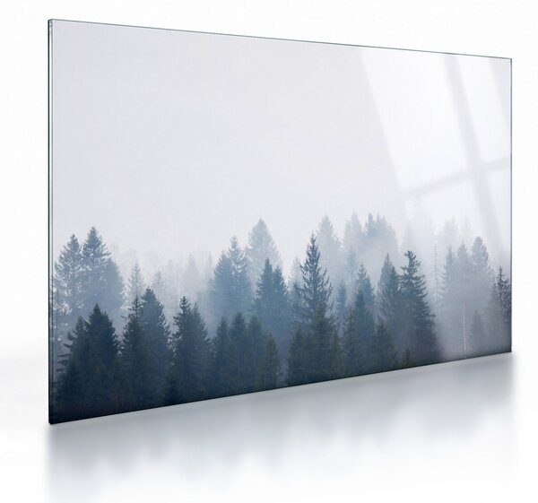Sklenený obraz - Zahmlený les (70x50 cm)