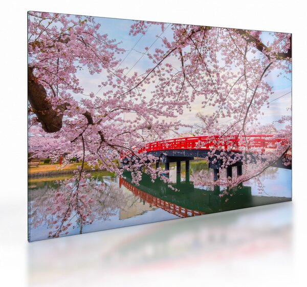 Sklenený obraz - Hirosaki, Japonsko (70x50 cm)