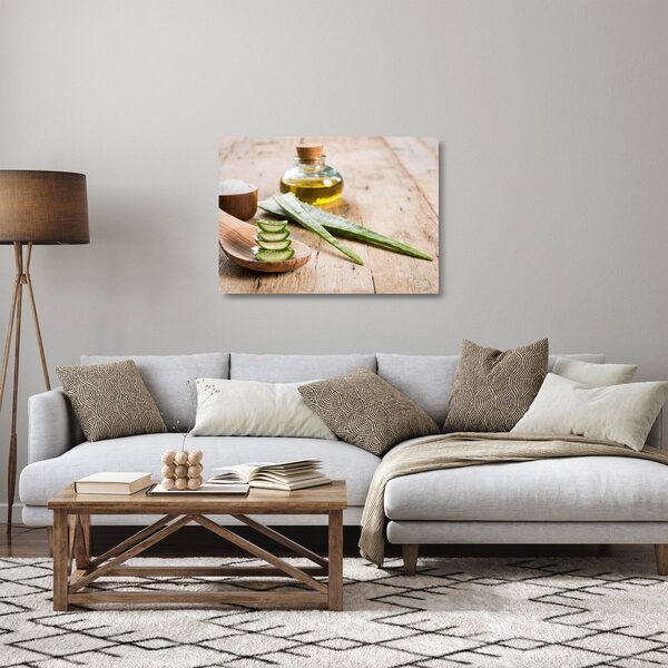 Sklenený obraz - Aloe vera (70x50 cm)