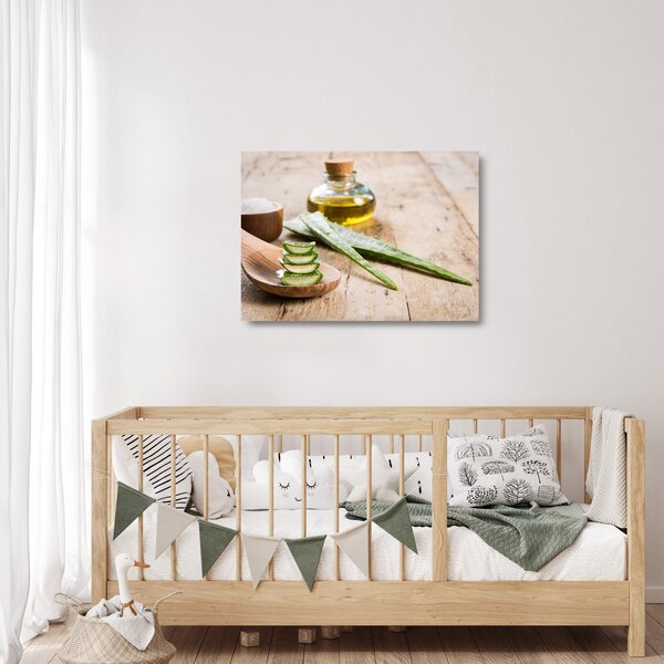 Sklenený obraz - Aloe vera (70x50 cm)