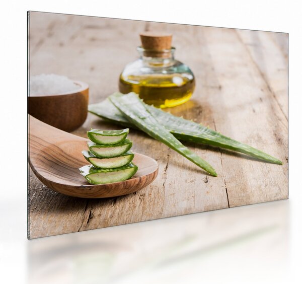 Sklenený obraz - Aloe vera (70x50 cm)
