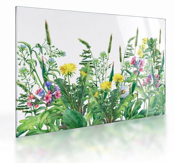 Sklenený obraz - Maľované lúčne kvety (70x50 cm)