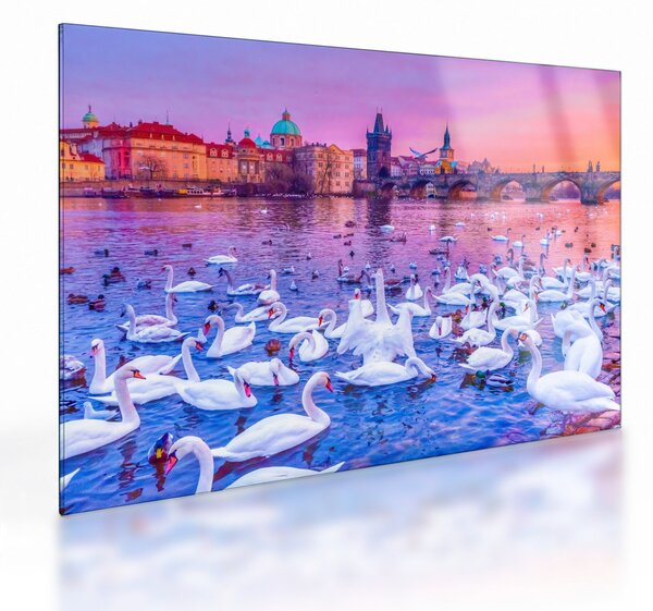Sklenený obraz - Praha (70x50 cm)