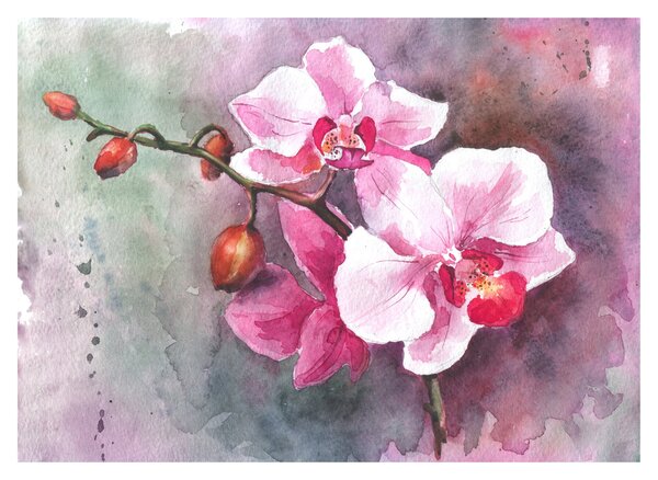Sklenený obraz - Orchidey, aquarel (70x50 cm)