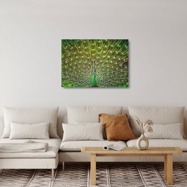Sklenený obraz - Páv (70x50 cm)