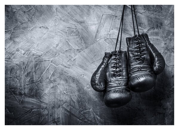Sklenený obraz - Boxerské rukavice (70x50 cm)