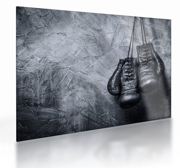 Sklenený obraz - Boxerské rukavice (70x50 cm)