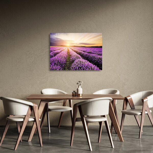 Sklenený obraz - Východ slnka v levanduľovom poli (70x50 cm)