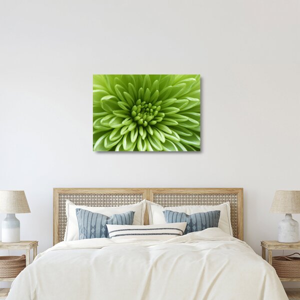 Sklenený obraz - Makro snímka rastliny (70x50 cm)