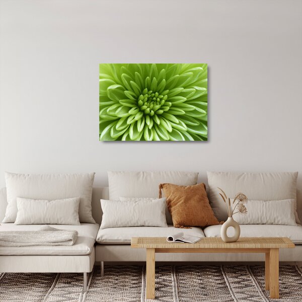 Sklenený obraz - Makro snímka rastliny (70x50 cm)