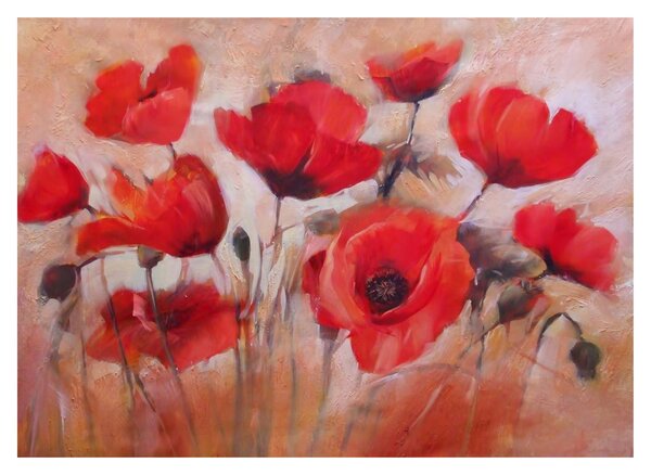 Sklenený obraz - Vlčie maky (70x50 cm)
