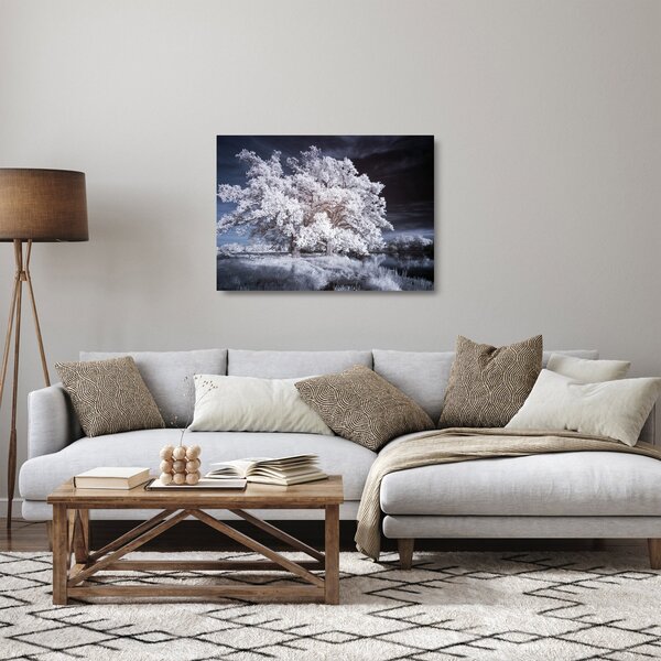 Sklenený obraz - Snehobiely strom (70x50 cm)