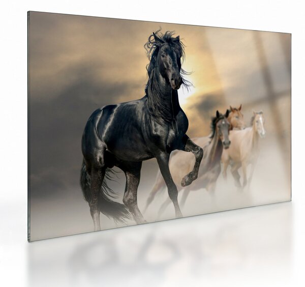 Sklenený obraz - Kone (70x50 cm)