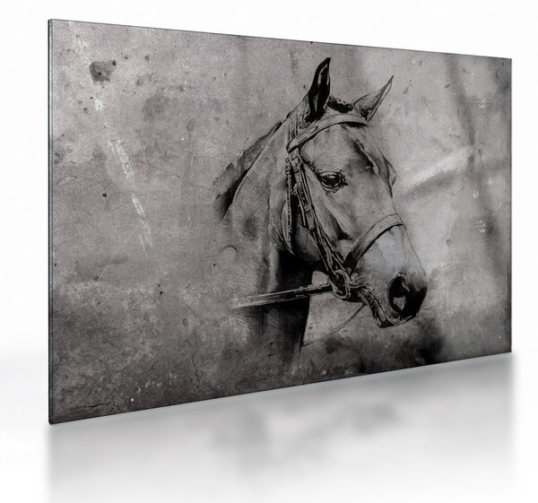 Sklenený obraz - Portrét koňa (70x50 cm)