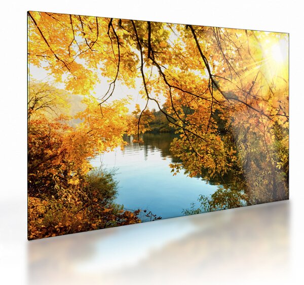 Sklenený obraz - Jesenný strom (70x50 cm)