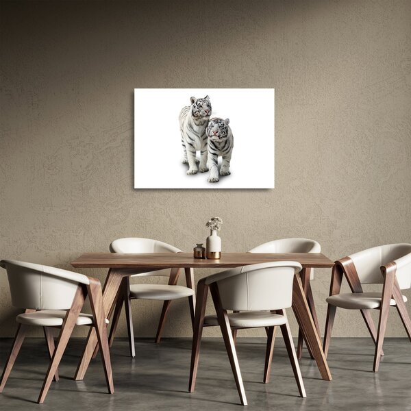 Sklenený obraz - Biely tiger (70x50 cm)