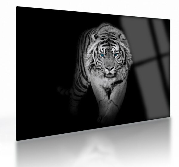 Sklenený obraz - Tiger s modrými očami (70x50 cm)