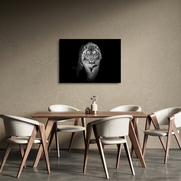 Sklenený obraz - Tiger s modrými očami (70x50 cm)