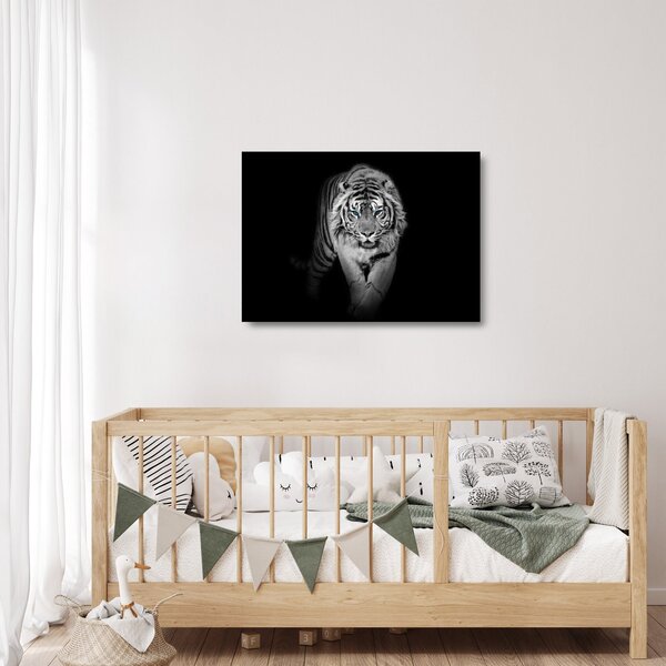 Sklenený obraz - Tiger s modrými očami (70x50 cm)