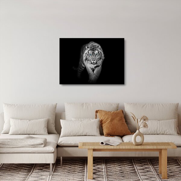 Sklenený obraz - Tiger s modrými očami (70x50 cm)