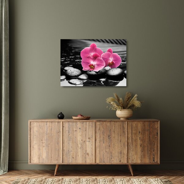 Sklenený obraz - Ružové orchidey (70x50 cm)