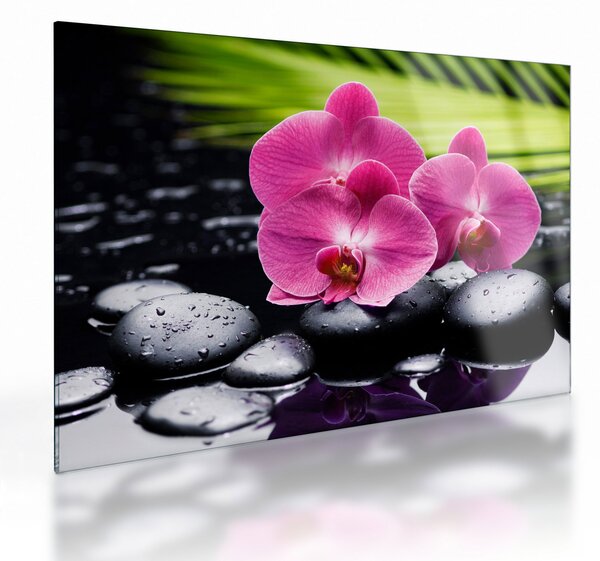Sklenený obraz - Ružové orchidey s palmovým listom (70x50 cm)
