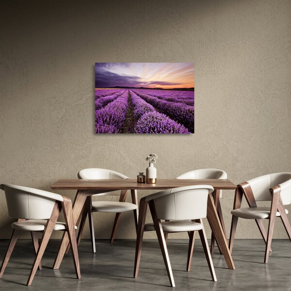 Sklenený obraz - Levanduľové pole pri západe slnka (70x50 cm)
