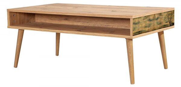 Hanah Home Konferenčný stolík Viva 110 cm hnedý