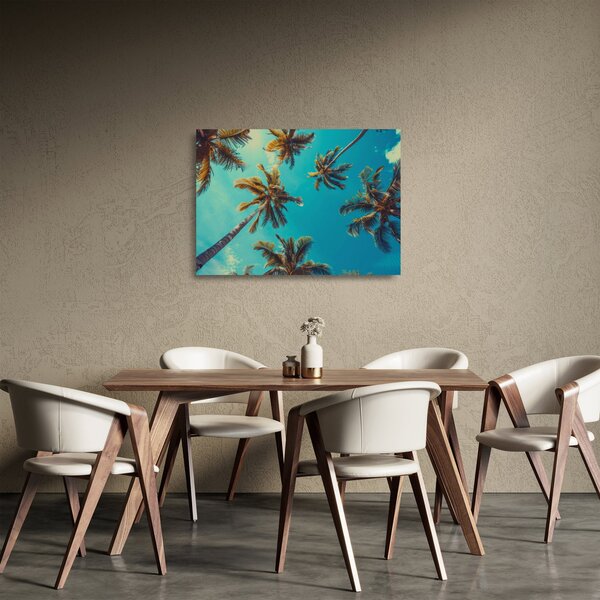 Sklenený obraz - Vysoké palmy (70x50 cm)