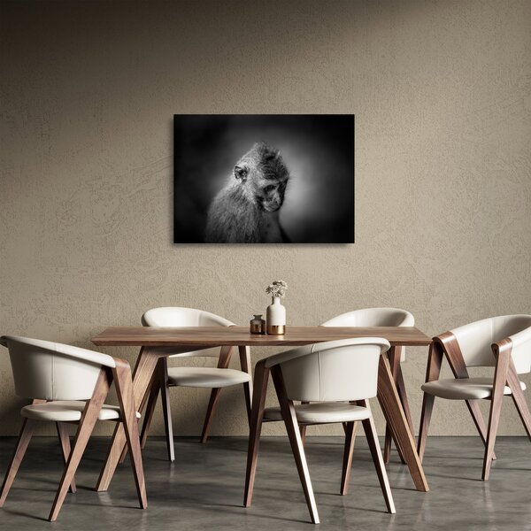 Sklenený obraz - Opička (70x50 cm)