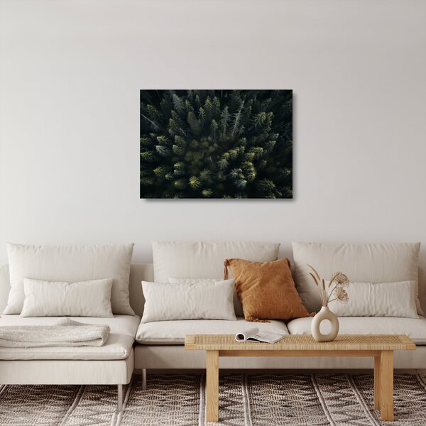 Sklenený obraz - Les (70x50 cm)