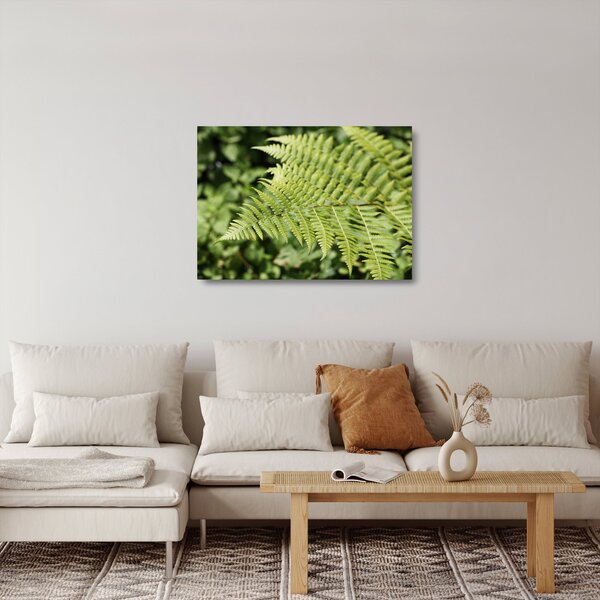 Sklenený obraz - Papradinový list (70x50 cm)