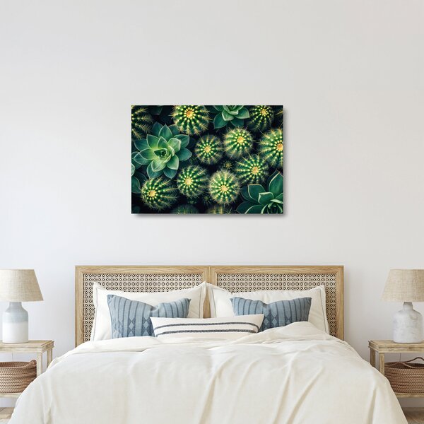 Sklenený obraz - Kaktusy (70x50 cm)