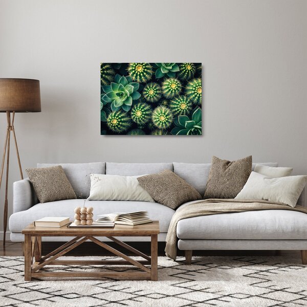 Sklenený obraz - Kaktusy (70x50 cm)