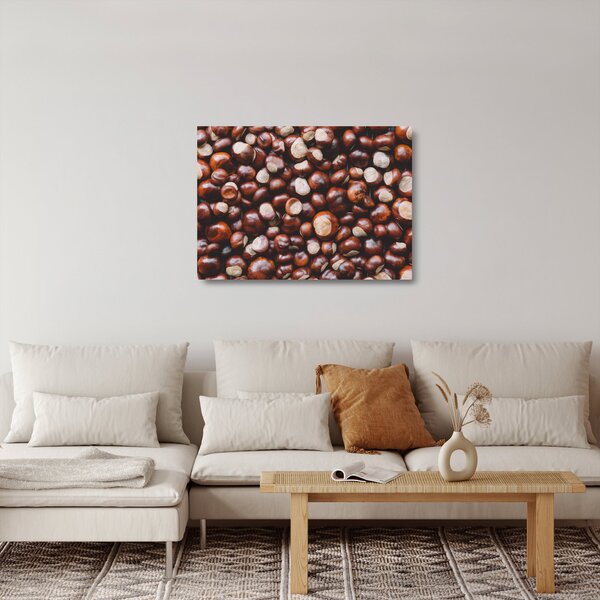 Sklenený obraz - Zrelé gaštany (70x50 cm)