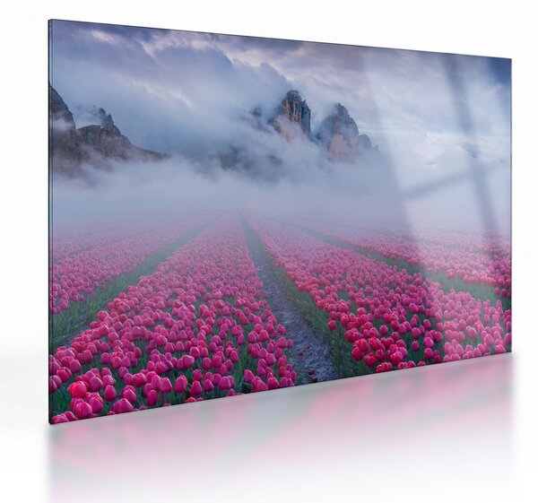 Sklenený obraz - Krajina s tulipánovými poľami (70x50 cm)