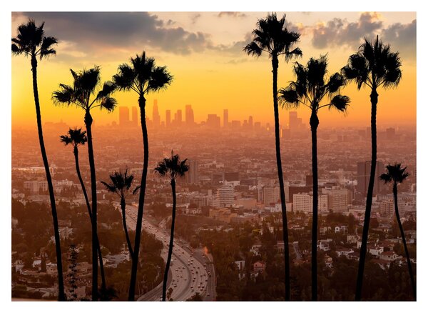 Sklenený obraz - Panorama Los Angeles (70x50 cm)