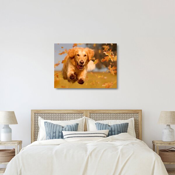 Sklenený obraz - Zlatý retriever (70x50 cm)