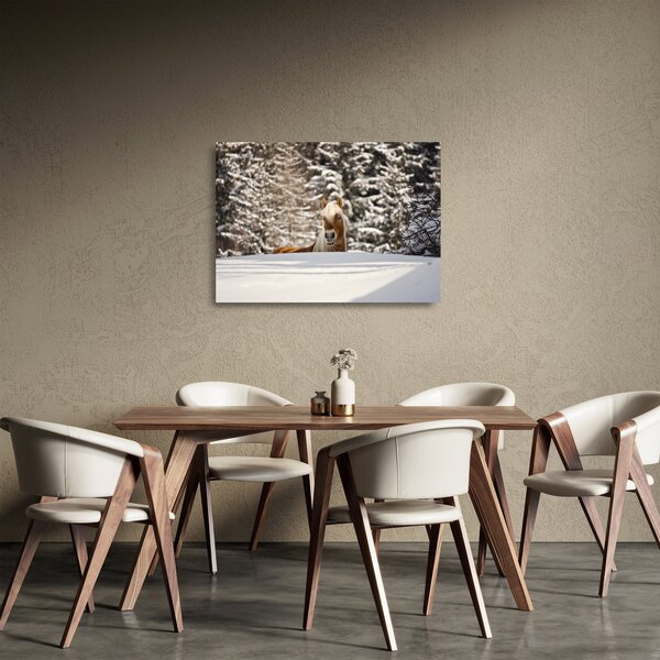Sklenený obraz - Kôň v zimnej krajine (70x50 cm)
