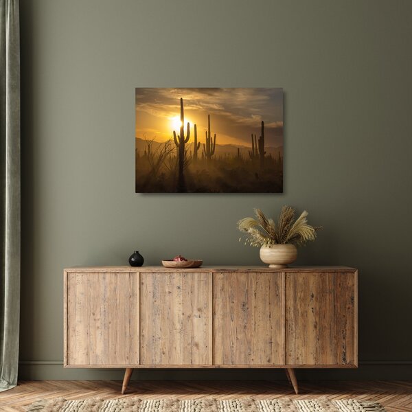 Sklenený obraz - Kaktusy Saguaro (70x50 cm)