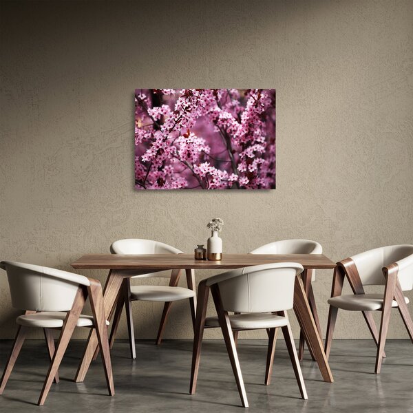 Sklenený obraz - Ružová sakura (70x50 cm)