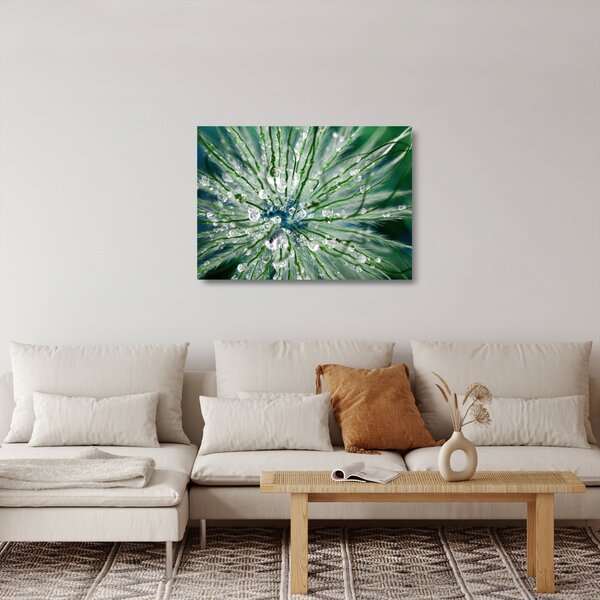 Sklenený obraz - Makro snímka kvetu (70x50 cm)
