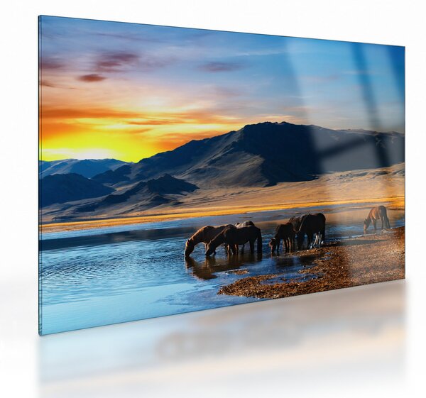 Sklenený obraz - Napájadlo (70x50 cm)