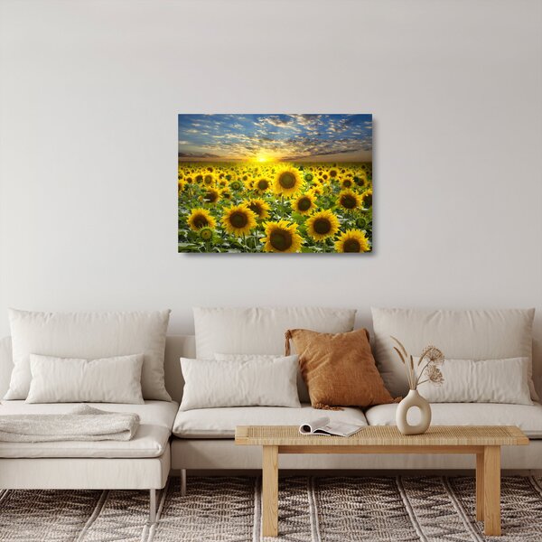 Sklenený obraz - Slnečnica pri západe slnka (70x50 cm)