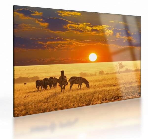 Sklenený obraz - Zebry so západom slnka (70x50 cm)