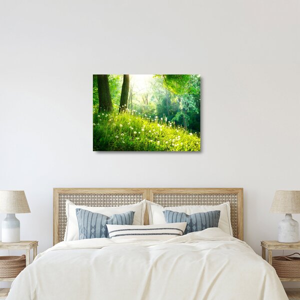 Sklenený obraz - Magická lúka plná púpav (70x50 cm)