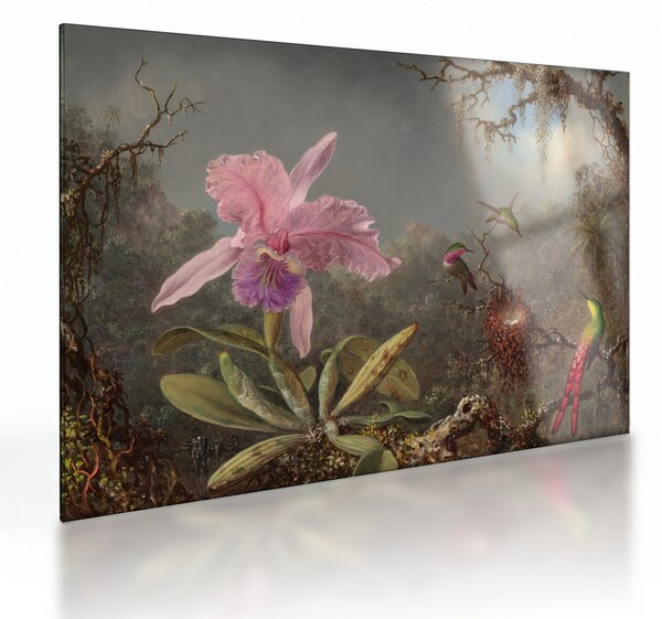 Sklenený obraz - Martin Johnson Heade, Cattleya Orchid and Three Hummingbirds, reprodukcia (70x50 cm)
