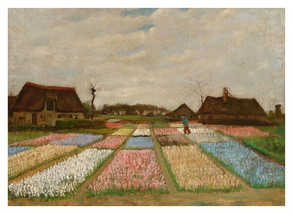 Sklenený obraz - Vincent van Gogh, Flower Beds in Holland, reprodukcia (70x50 cm)